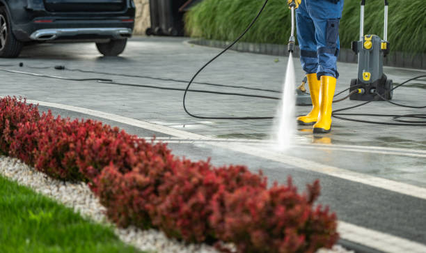 Best Pool Deck Cleaning  in Cary, IL